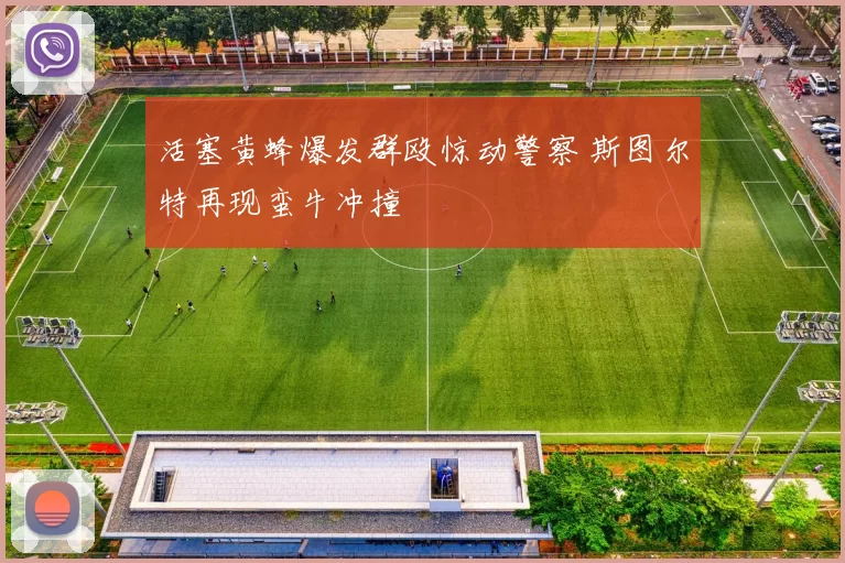 活塞黄蜂爆发群殴惊动警察 斯图尔特再现蛮牛冲撞