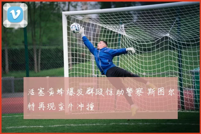 活塞黄蜂爆发群殴惊动警察 斯图尔特再现蛮牛冲撞