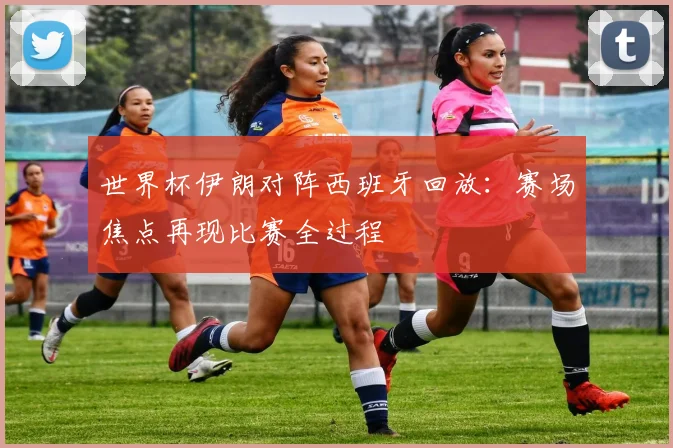 世界杯伊朗对阵西班牙回放：赛场焦点再现比赛全过程